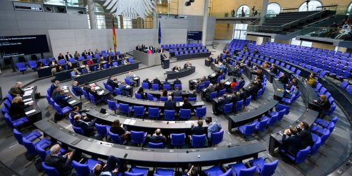 Die größten Schwänzer im Bundestag sitzen ganz außen - Video