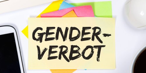 Sozialforscher warnt: Was die Gender-Debatte gefährlich für die Demokratie macht