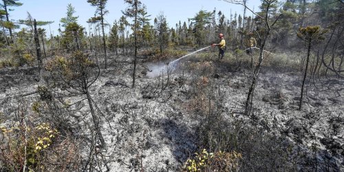 Schwere Brände: Lage in kanadischen Waldbrand-Gebieten entspannt sich leicht