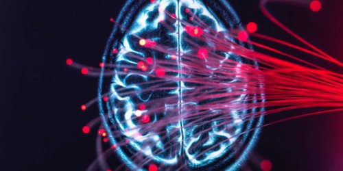 Medikament bremst Gehirnverfall: Forschern gelingt Meilenstein in der Alzheimer-Forschung