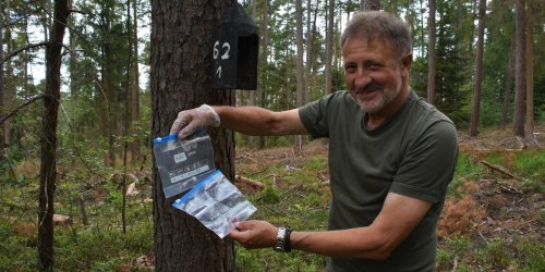 GROßENLÜDER: Naturschützer schlagen Alarm - Wald ist Heimat seltener Fledermausarten