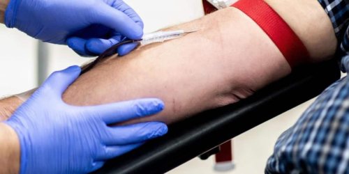 Vorgabe für Bundesärztekammer: Beschränkungen für Homosexuelle beim Blutspenden sollen entfallen