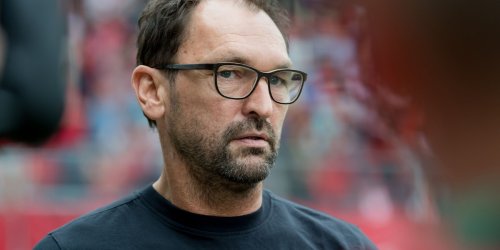 Regionalliga: Energie-Trainer Wollitz kritisiert zögernde Unterhachinger