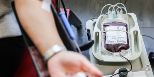 Gesundheit: Gesundheitsministerin ruft junge Menschen zur Blutspende auf