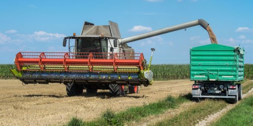 Agrar: 6,2 Millionen Tonnen Getreide: Erntebilanz im Freistaat