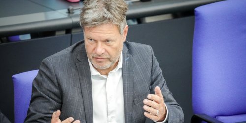 Berater-Ärger um Wirtschaftsminister: „Ein weiterer unglaublicher Vorgang im Hause Habeck“