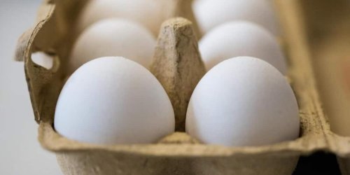Mit einem Trick bleiben deine rohen Eier 10 Monate lang haltbar - Video
