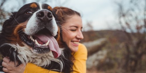 FOCUS-online-Dogcast: Sie bereichern das Leben - darum sind Tierschutzhunde so besonders