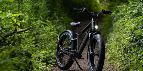 Alleskönner mit breiten Reifen: Dieses E-Bike bringt Sie überall hin