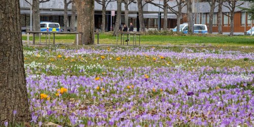 +++ Wetter im Ticker +++: Frühling in Deutschland, Unwetter in Südeuropa: Bis zu 20 Grad und 200 Liter Regen