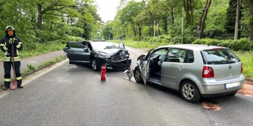 PHYEX Erhöhtes Haustierbett – Strapazierfähig Mit Stahlrahmen, Leicht & Tragbar, Größe Medium
