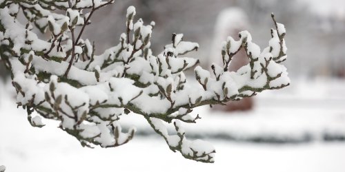Wetter: Fast halber Meter Schnee im Thüringer Wald