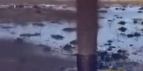 Leck an Pipeline: Ölfontäne in der Wüste – Kuwait ruft Notstand aus