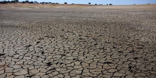 „Ein ökologisches Verbrechen“: Portugal: Schwere Dürre, keine Konzepte