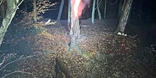 Polizei Mettmann: POL-ME: Baumstumpf in Brand gesetzt - die Polizei ermittelt - Erkrath - 2212002