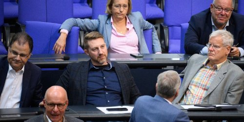 Konzern kontert von Storch : AfD-Abgeordnete wettert gegen Deutsche Bahn - Konzern reagiert und wird gefeiert
