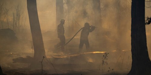 Brände: Waldbrand bei Gartow beschäftigt 120 Einsatzkräfte