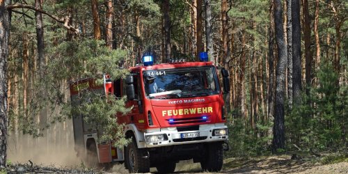 Brände: Waldbrand in Tschechien bei Klingenthal gelöscht