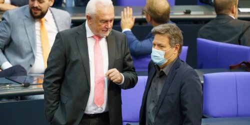 Entschuldigungen als Strategie: FDP-Bundesvize Kubicki geht Wirtschaftsminister Habeck scharf an