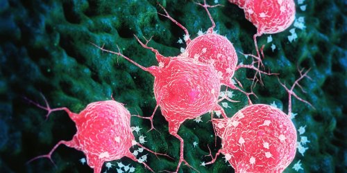 Gegen gefährliches Epstein-Barr-Virus: Forscher testen Impfstoff, der Krebs und Multiple Sklerose verhindern könnte