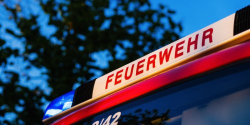 Diepholz: Supermarkt und Bäume brennen: 100 Feuerwehrleute im Einsatz