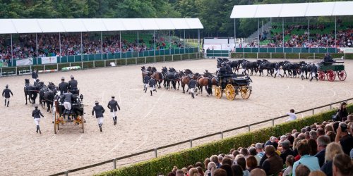 Pferde: Moderne Reithalle für Sachsens Landgestüt im Rohbau fertig