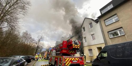 Feuerwehr Recklinghausen: FW-RE: Kellerbrand - keine verletzten Personen - Bewohner rettet zwei Hunde