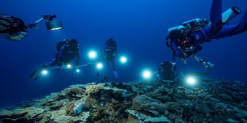 Tahiti: Korallenriff trotzt dem Klimawandel und gibt Forschern Rätsel auf