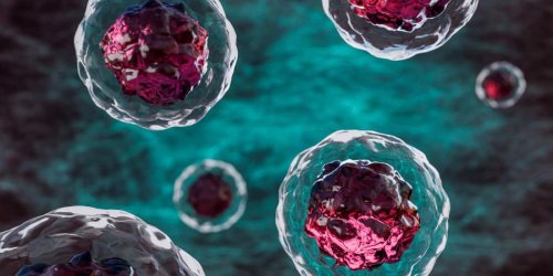 Gesund-Faktor Zelle: Mit 5 Regeln leben Sie gesünder – und länger