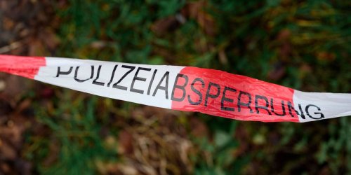 Landkreis Emsland: 37 erschossene Wildgänse gefunden