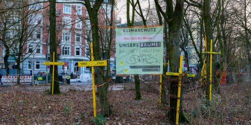 Klima gegen günstiges Wohnen: Der Kampf um diesen Platz in Hamburg
