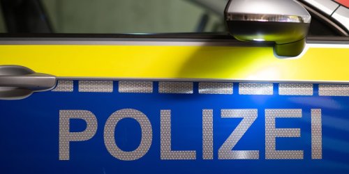 Verkehr: Hund stirbt bei Autounfall - Fahrerin verletzt