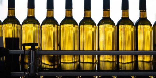 Landwirtschaft: Winzer steigern Weinproduktion trotz Dürre kräftig