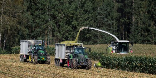 Landwirtschaft: Feldhäcksler unterwegs: Maisernte in Bayern läuft