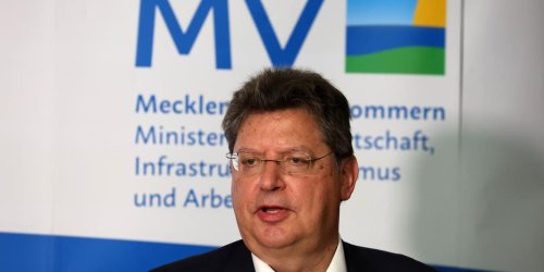 Wirtschaftsminister: Meyer: Alle Länder sehen Bedarf für Netzentgelt-Reform
