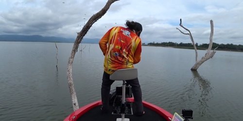 Er hatte keine Wahl: Angler trifft auf Hornissennest und sieht nur einen Ausweg