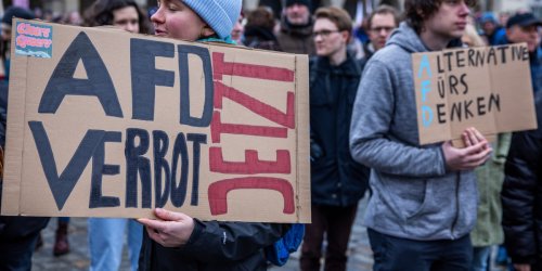 Schweizer Zeitung mit harter Analyse: Schweigende Mehrheit? Demos „gegen rechts“ von Linken und Grünen dominiert