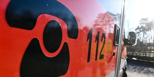 Unfälle: Pferd in Anhänger eingeklemmt - Tier eingeschläfert
