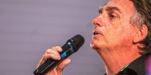 Kurioser Vorwurf: Brasiliens Ex-Präsident soll Buckelwal belästigt haben