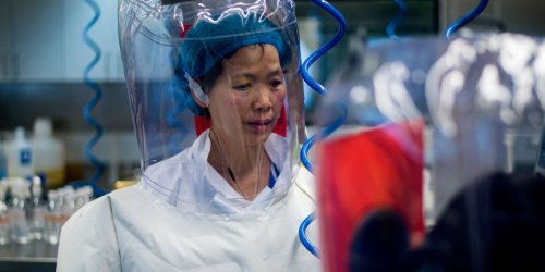 „Neue Ausbrüche möglich“: Wuhan-Forscherin warnt vor hochriskanten neuen Corona-Viren