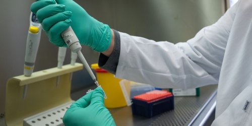 Die Grünen wollen Landesamt in PCR-Auswertung einbinden