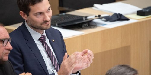 FDP: Regierung sollte Photovoltaik im Weinberg prüfen