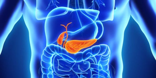 FOCUS-Online-Gesundheitscheck: Ist Ihre Galle gesund? Checkliste zeigt, ob Sie Gallensteine haben, ohne es zu wissen