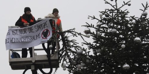 23-Jährige sieht Notstandslage: Klimaaktivistin sägt Baum ab - 400 Euro Strafe