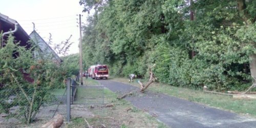 Feuerwehr Hünxe: FW Hünxe: Baum zerreißt Stromleitung