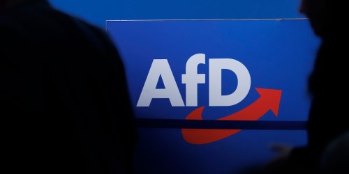 Attacke unter Parteimitgliedern: In der AfD wird ein brisanter Gewalt-Vorfall vertuscht