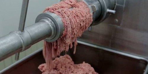 Forscher finden „Separatorenfleisch“ in Wurst - erneut Tönnies unter Verdacht - Video