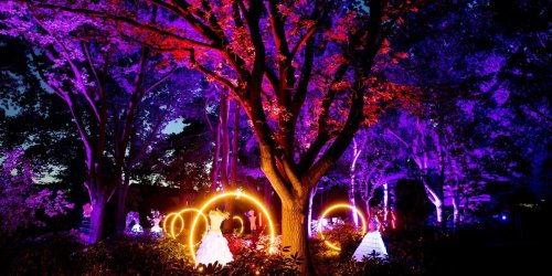 Kunst: Lange Abende und LEDs: Lichtkunst erleuchtet Park der Gärten
