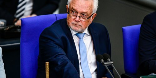 Scharfe Attacke gegen Ampel-Partner: Für Kubicki sind Angriffe auf FDP-Minister „billig und außerordentlich dumm“