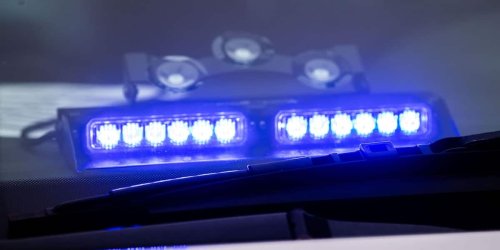 Esslingen: Nach Polizeieinsatz: Polizeihund beißt Mann